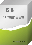 hosting serwer stron www